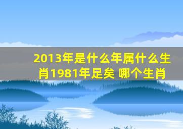 2013年是什么年属什么生肖1981年足矣 哪个生肖